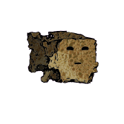 a crumbled square crouton with a suspicious face